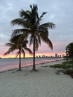 Landscape Palms Miami